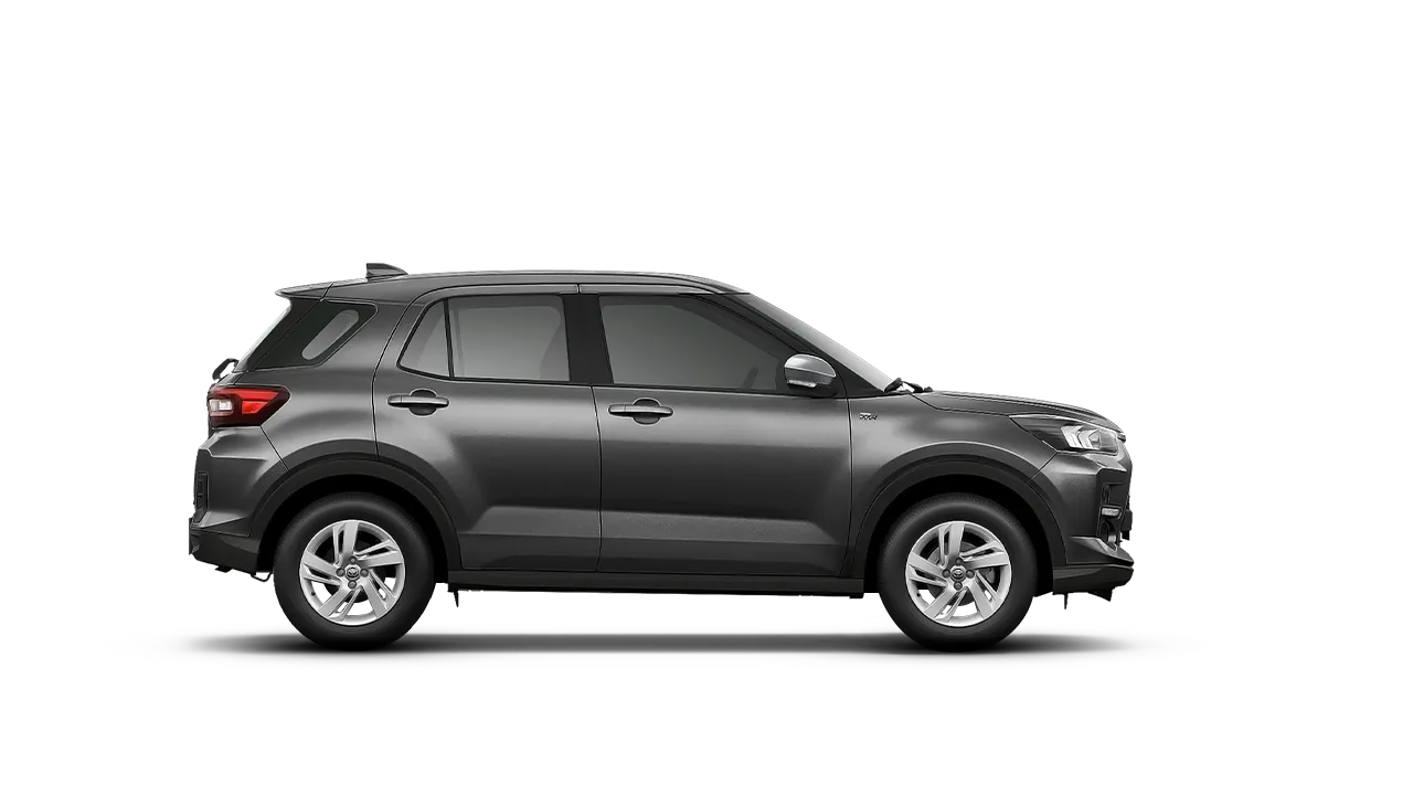 Raize Gray Metallic